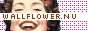 --> Wallflower.nu